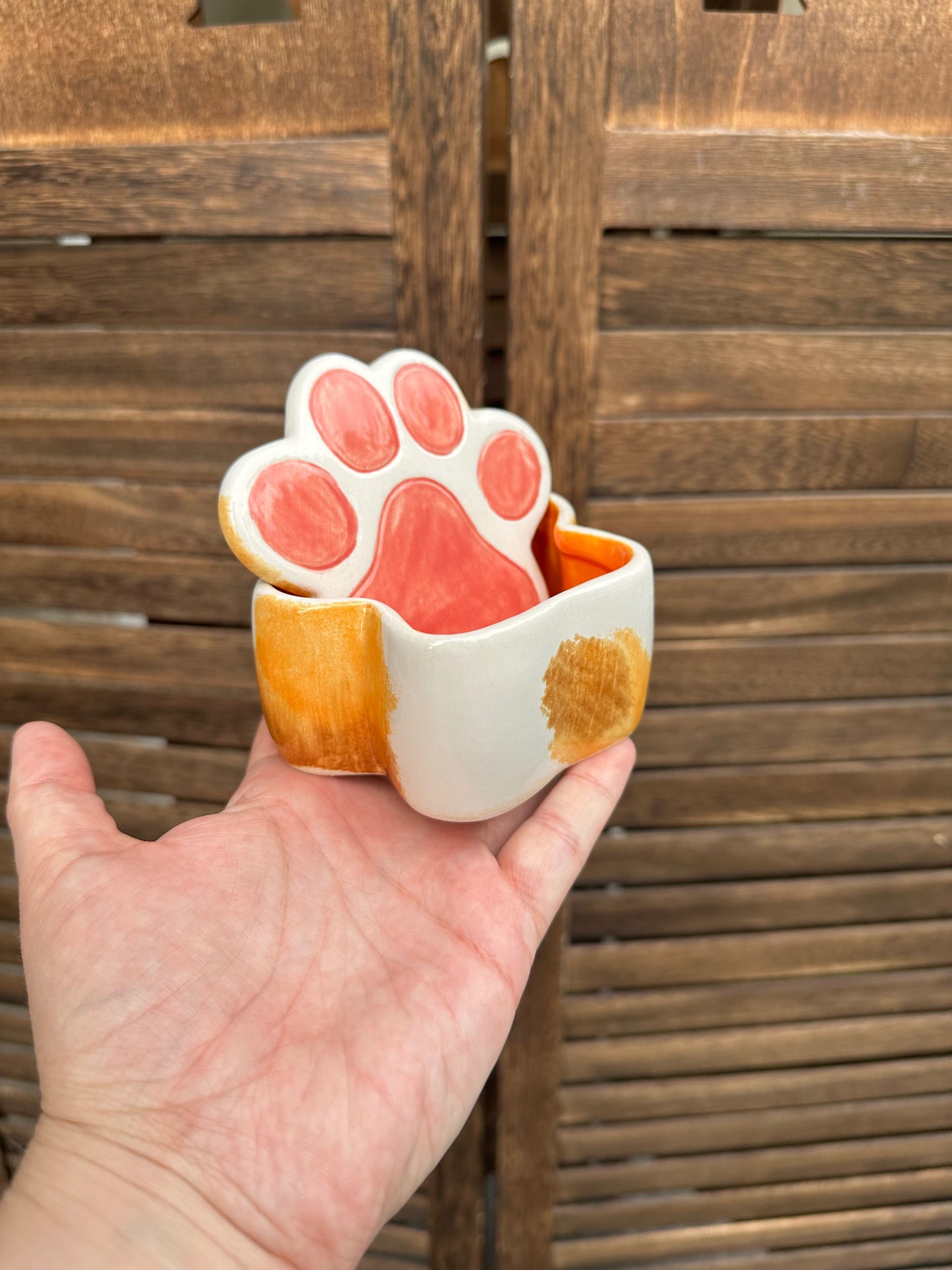 Paw Box